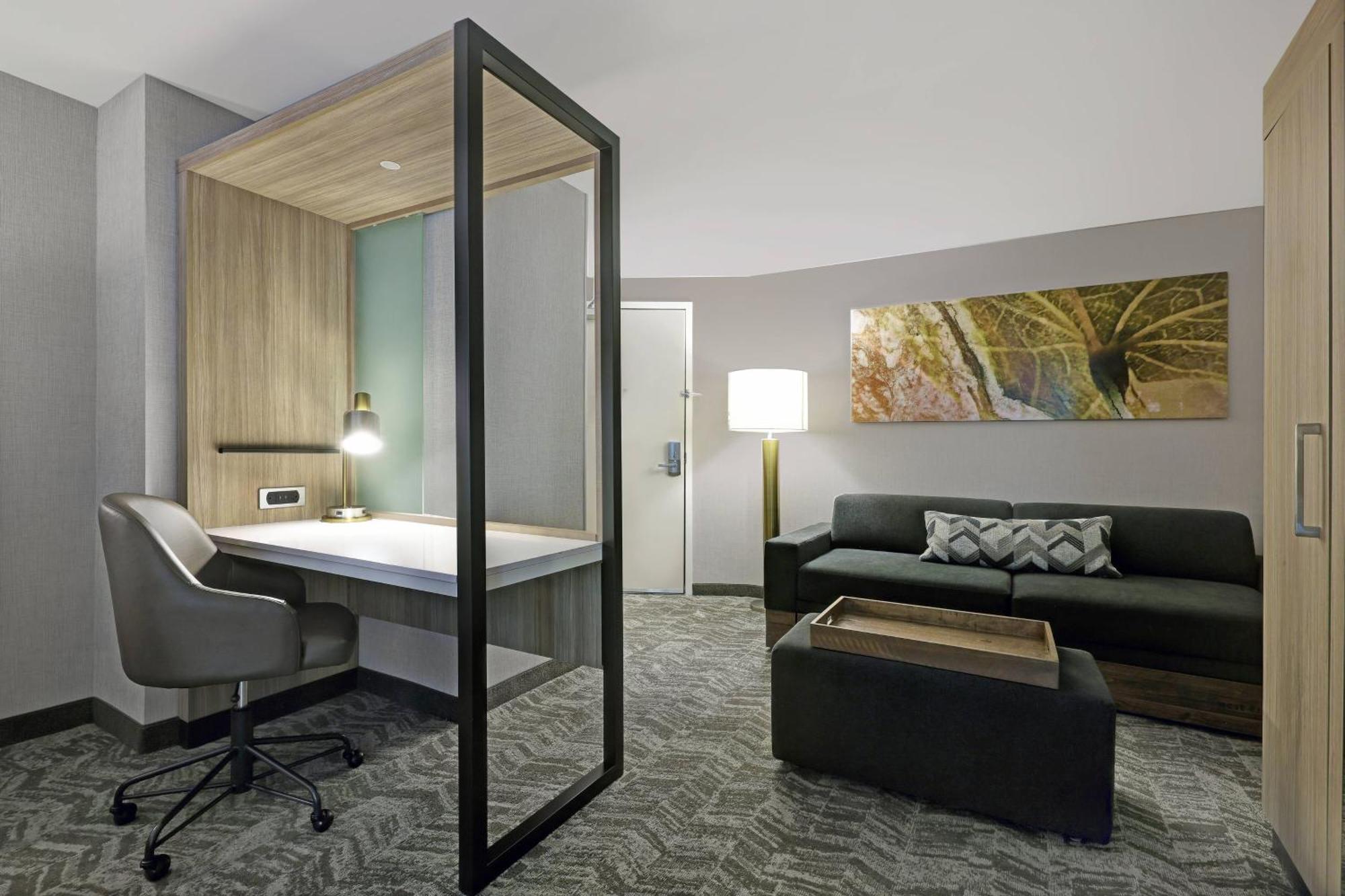 Springhill Suites By Marriott Palm Desert Esterno foto
